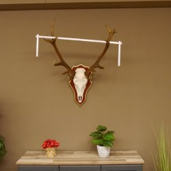 Bois de cerf rouge 6 cors Hauteur 59 cm Bois de cerf Plaque trophée sculptée 70.1031