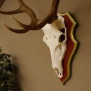 Bois de cerf rouge 6 cors Hauteur 59 cm Bois de cerf Plaque trophée sculptée 70.1031