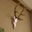 Bois de cerf rouge 6 cors Hauteur 59 cm Bois de cerf Plaque trophée sculptée 70.1031