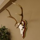 Bois de cerf rouge 6 cors Hauteur 59 cm Bois de cerf...