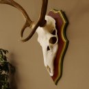 Bois de cerf rouge 6 cors Hauteur 59 cm Bois de cerf Plaque trophée sculptée 70.1031