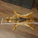 Saddlecloths Jackal Fur Rug Saddlecloth Jackal Africa...