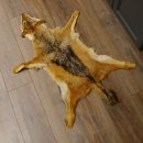 Chabraques Tapis en peau de chacal Chabraque chacal Afrique 87.109.4