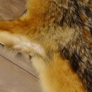 Chabraques Tapis en peau de chacal Chabraque chacal Afrique 87.109.4