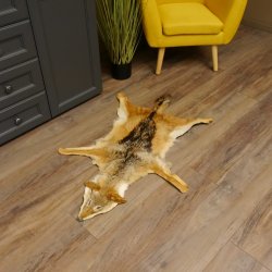 Chabraques Tapis en peau de chacal Chabraque chacal Afrique 87.109.4