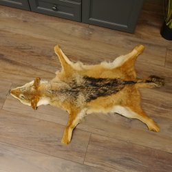 Chabraques Tapis en peau de chacal Chabraque chacal Afrique 87.109.4