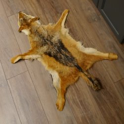 Chabraques Tapis en peau de chacal Chabraque chacal Afrique 87.109.4