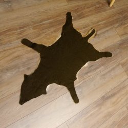 Chabraques Tapis en peau de chacal Chabraque chacal Afrique 87.109.4