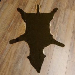 Chabraques Tapis en peau de chacal Chabraque chacal Afrique 87.109.4