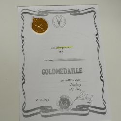 Gnou à bandes Gnou Gnou avec médaille Tête Épaule Préparation Préparation de tête Hauteur 68 cm 95.9.20