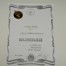 Oryx (Oryx gazella) Antilope avec médaille HL 88 cm Cornes séparées Tête Préparation africaine Spießbock 95.3.25