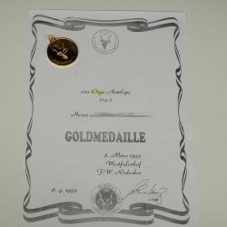 Oryx (Oryx gazella) Antilope avec médaille HL 88 cm Cornes séparées Tête Préparation africaine Spießbock 95.3.25