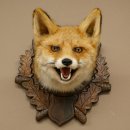 Volpe rossa Testa di volpe Preparato con bocca aperta Altezza 30 cm