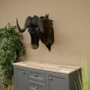 White-tailed gnu Gnu Wildebeest Head + hide Shoulder mount Head mount Height 60 cm 95.9.21