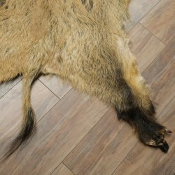 Wilde zwijnenhuid everzwijnenhuid wild zwijn zwoerd varkenszwoerd vloerkleed lengte 180 cm 87.6.41
