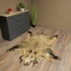 Wilde zwijnenhuid everzwijnenhuid wild zwijn zwoerd varkenszwoerd vloerkleed lengte 180 cm 87.6.41