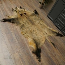 Wilde zwijnenhuid everzwijnenhuid wild zwijn zwoerd varkenszwoerd vloerkleed lengte 180 cm 87.6.41