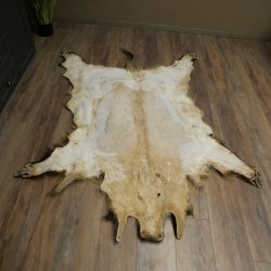 Wilde zwijnenhuid everzwijnenhuid wild zwijn zwoerd varkenszwoerd vloerkleed lengte 180 cm 87.6.41