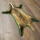 Peau de blaireau avec tête préparée Peau de blaireau Couverture Tapis de peau Longueur 105 cm 87.26.6