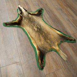 Peau de blaireau avec tête préparée Peau de blaireau Couverture Tapis de peau Longueur 105 cm 87.26.6