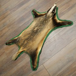 Peau de blaireau avec tête préparée Peau de blaireau Couverture Tapis de peau Longueur 105 cm 87.26.6