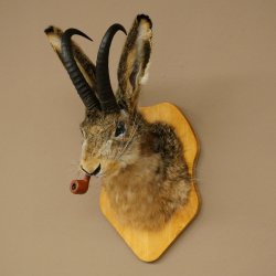 Hasenbock mit Pfeife Hasenwolpi Gamsschlauch Hase Bock Wolpertinger Wolpi Präparat auf Trophäenschild