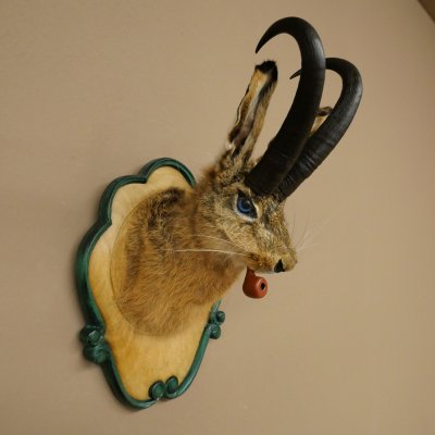 Hare buck with whistle Hare wolpi Chamois hose Hare buck Wolpertinger Wolpi Specimen on carved trophy board #142