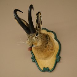 Hare buck with whistle Hare wolpi Chamois hose Hare buck Wolpertinger Wolpi Specimen on carved trophy board #142