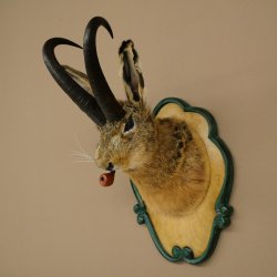 Hare buck with whistle Hare wolpi Chamois hose Hare buck Wolpertinger Wolpi Specimen on carved trophy board #142