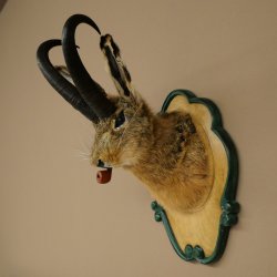 Hare buck with whistle Hare wolpi Chamois hose Hare buck Wolpertinger Wolpi Specimen on carved trophy board #142