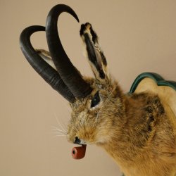 Hare buck with whistle Hare wolpi Chamois hose Hare buck Wolpertinger Wolpi Specimen on carved trophy board #142