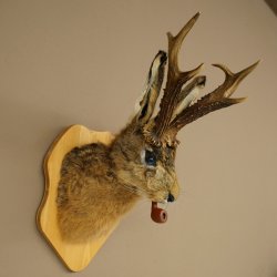 Conejo con silbato Cuernos de ciervo Conejo Cabra Wolpertinger Wolpi Conejo Wolpi Preparado en placa de trofeo n.º 43