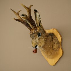 Conejo con silbato Cuernos de ciervo Conejo Cabra Wolpertinger Wolpi Conejo Wolpi Preparado en placa de trofeo n.º 43