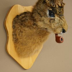 Conejo con silbato Cuernos de ciervo Conejo Cabra Wolpertinger Wolpi Conejo Wolpi Preparado en placa de trofeo n.º 43