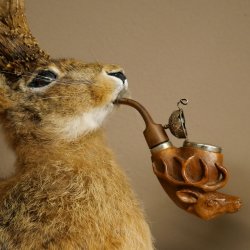 Hasenwolpi Wolpertinger gran conejo macho Wolpi con silbato ciervo disecado H 46 cm sobre placa trofeo tallada