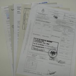 Hirschziegenantilope Ziegen Ziege Kopfpräparat Kopf Gehörn Antilope