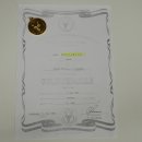 Blessbock Buntbock HL 34.5 cm Antelope Head Shoulder Mount Trophy Shield 95.5.16