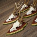 Rehgeweihe 5 Stück Rehböcke Reh Bock Geweihe auf ZIRBENHOLZ Trophäenschildern 22.1355