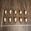 Rehgeweihe 10 Stück Rehböcke Reh Bock Geweihe...