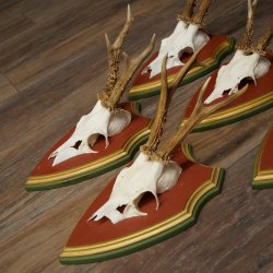 Rehgeweihe 5 Stück Rehböcke Reh Bock Geweihe auf ZIRBENHOLZ Trophäenschildern 22.1357