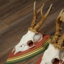 Rehgeweihe 3 Stück Rehböcke Reh Bock Geweihe auf ZIRBENHOLZ Trophäenschildern 22.1362