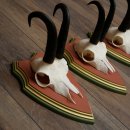 Cuernos de gamuza, 3 piezas, macho de gamuza SL 21,4 cm, cuernos de gamuza sobre placa de trofeo de MADERA DE PINO CIBELO 47.278