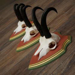 Cuernos de gamuza, 3 piezas, macho de gamuza SL 21,4 cm, cuernos de gamuza sobre placa de trofeo de MADERA DE PINO CIBELO 47.278