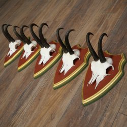 Cuernos de gamuza, 3 piezas, macho de gamuza SL 21,4 cm, cuernos de gamuza sobre placa de trofeo de MADERA DE PINO CIBELO 47.278