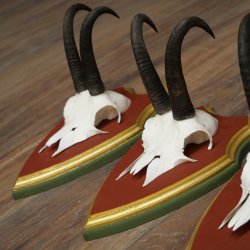 Cuernos de gamuza, 3 piezas, macho de gamuza SL 21,4 cm, cuernos de gamuza sobre placa de trofeo de MADERA DE PINO CIBELO 47.278