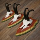 Cuernos de gamuza, 3 piezas, macho de gamuza SL 21,4 cm, cuernos de gamuza sobre placa de trofeo de MADERA DE PINO CIBELO 47.278