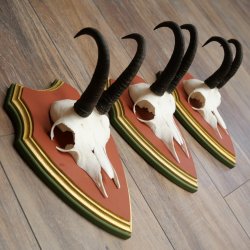 Cuernos de gamuza, 3 piezas, macho de gamuza SL 21,4 cm, cuernos de gamuza sobre placa de trofeo de MADERA DE PINO CIBELO 47.278