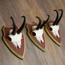 Cuernos de gamuza, 3 piezas, macho de gamuza SL 21,4 cm, cuernos de gamuza sobre placa de trofeo de MADERA DE PINO CIBELO 47.278