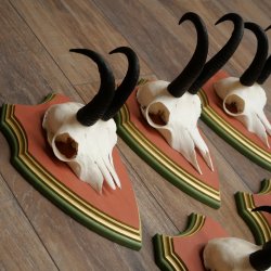 Bois de chamois 3 pièces Chamois mâle SL 21,4 cm Bois de chamois sur plaque en bois de pin cembro 47.278