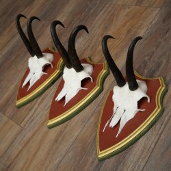 Bois de chamois 3 pièces Chamois mâle SL 21,4 cm Bois de chamois sur plaque en bois de pin cembro 47.278